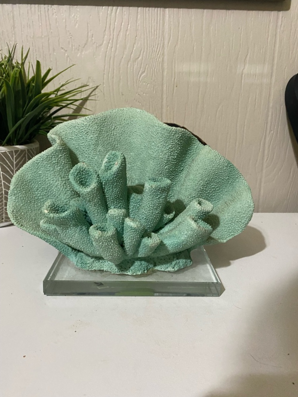 Mint Coral Sculpture Vanity Accent